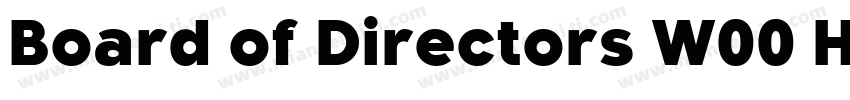 Board of Directors W00 Heavy字体转换